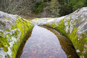 Nature pond image