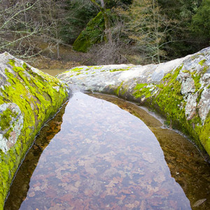 Nature pond image