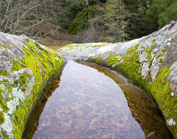 Nature pond image